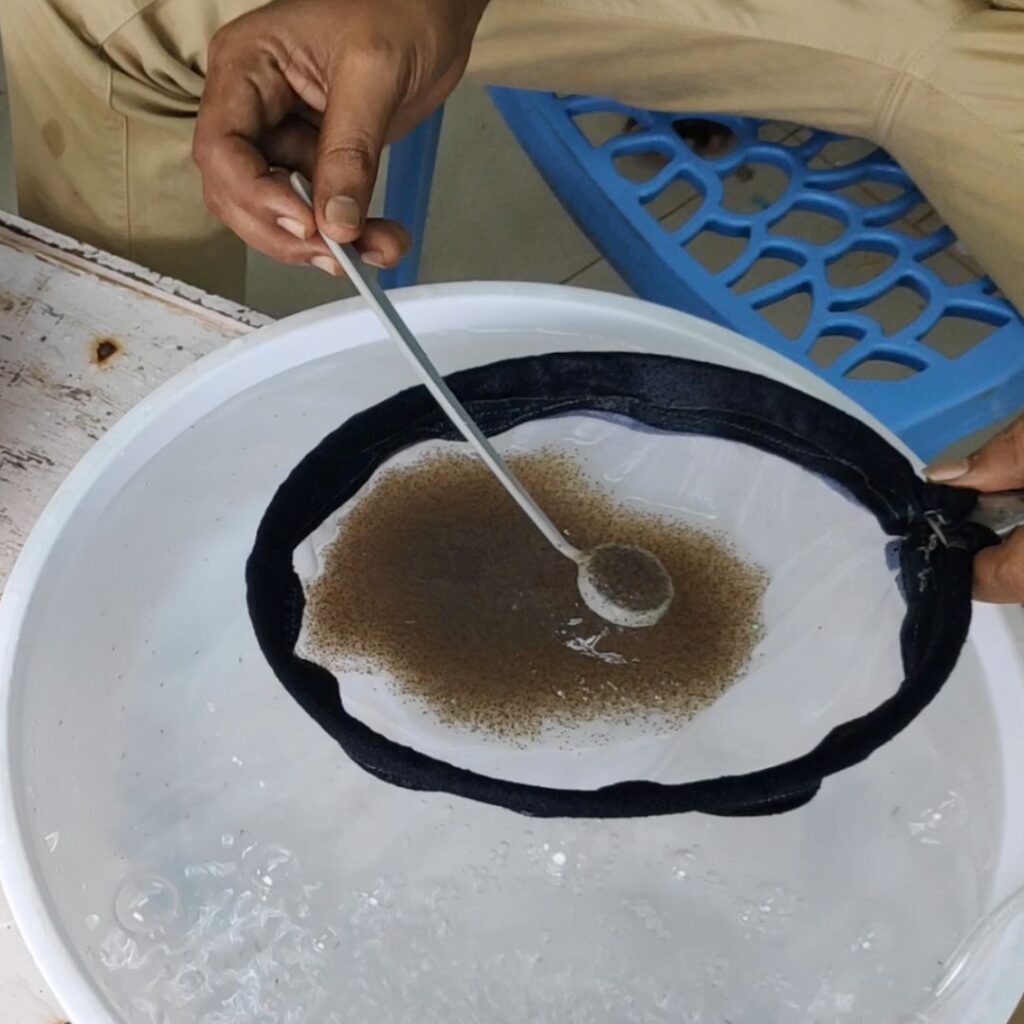 Shrimp Hatchery Management Shrimp Hatchery Management