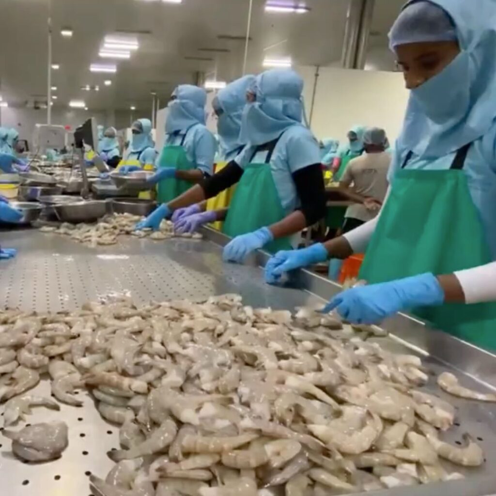 Shrimp Processing Management Shrimp Processing Management